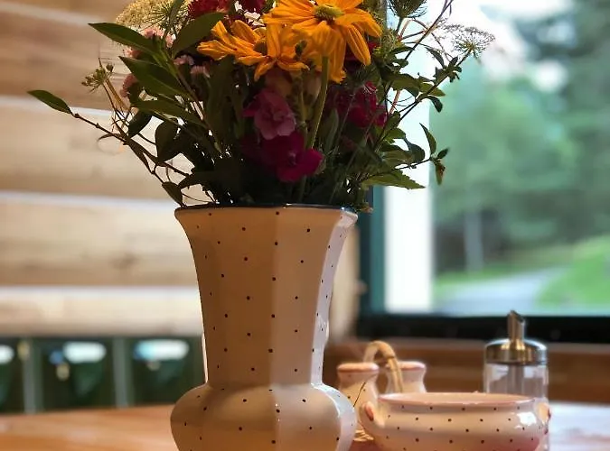 Pod Obrim Hradem 3* Nicov (Prachatice)