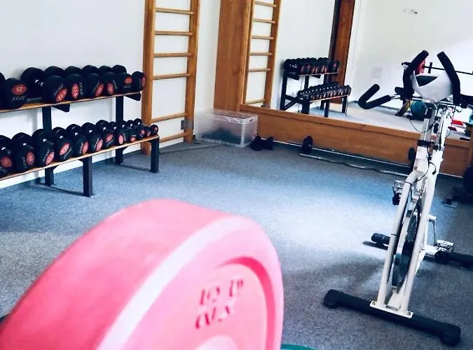 Gasthuis Pod Obrim Hradem